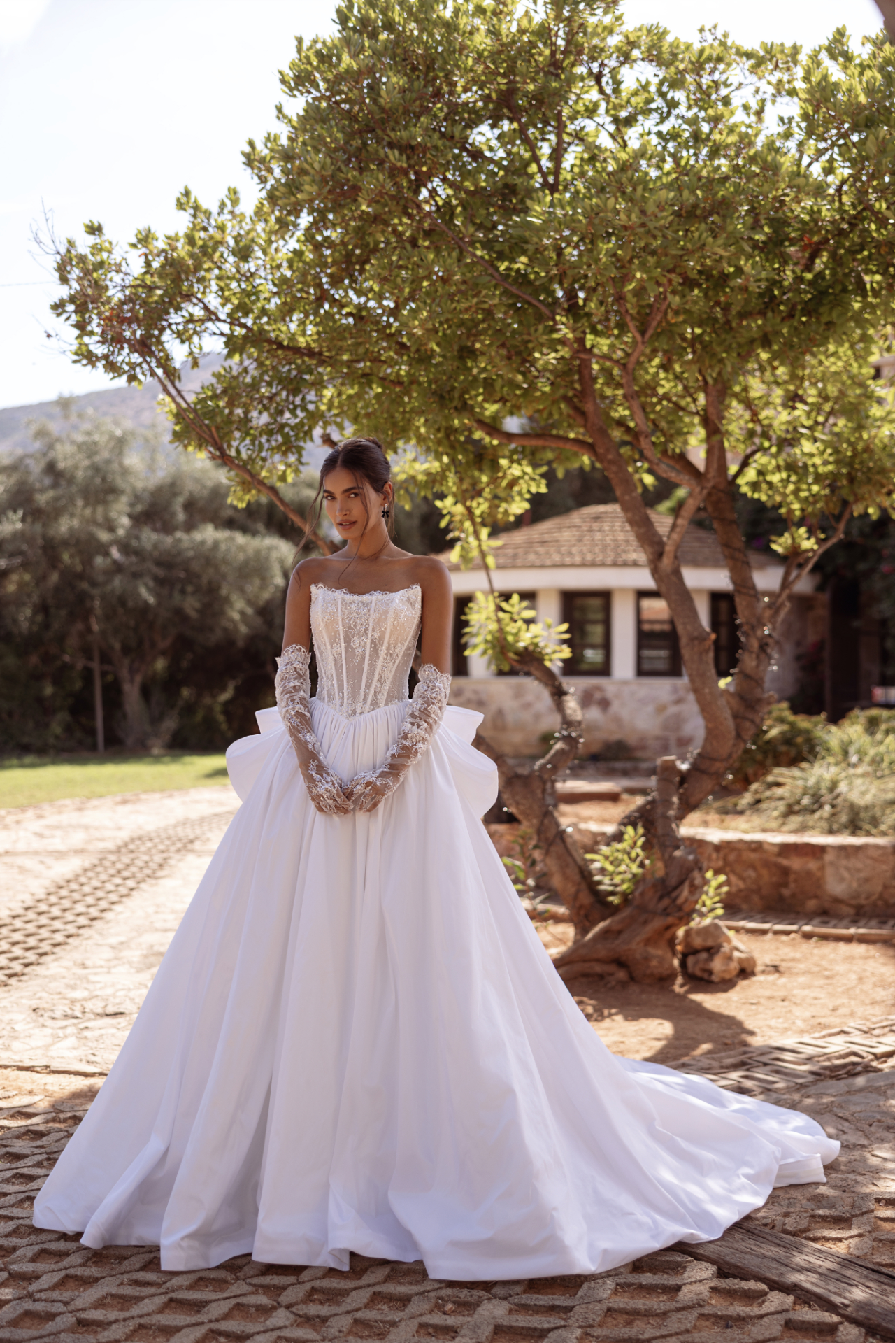 8308 Demetrios wedding dress vestido de novia 1